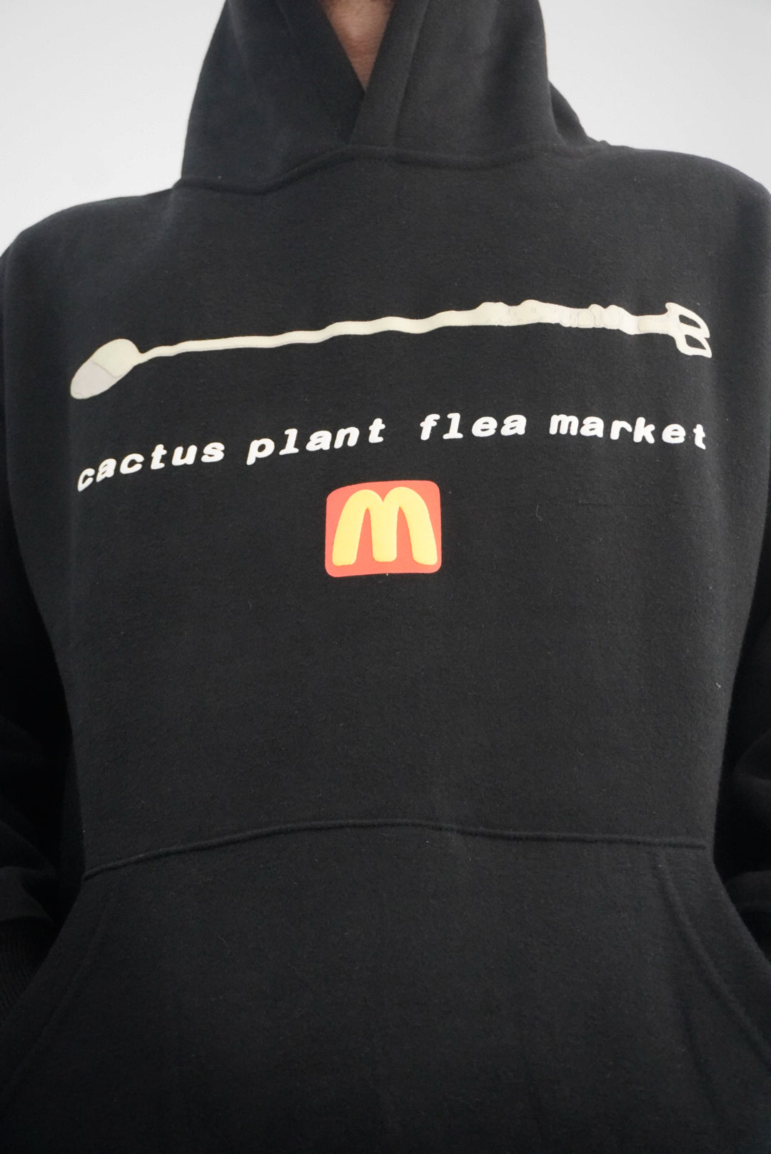 Cactus Plant (M)