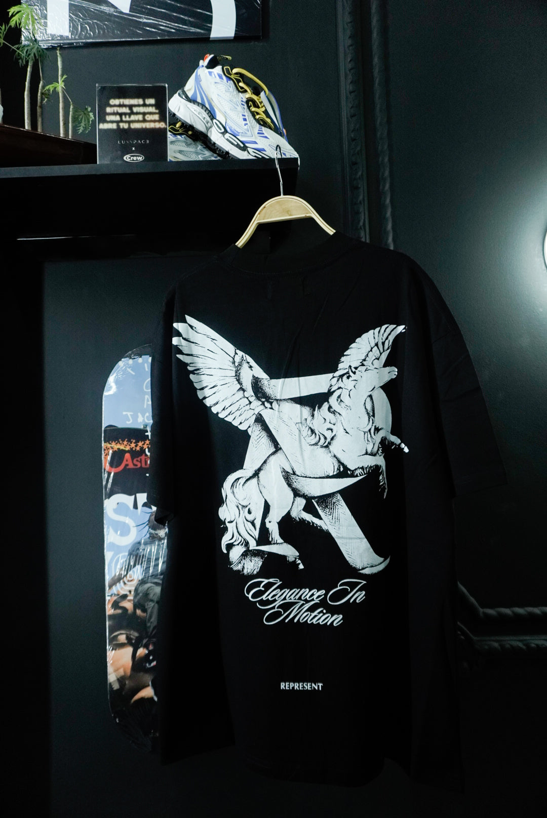 Motion Represent (M)